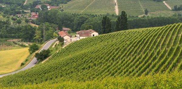 Landskap i Langhe (Piemonte) — Stockfoto