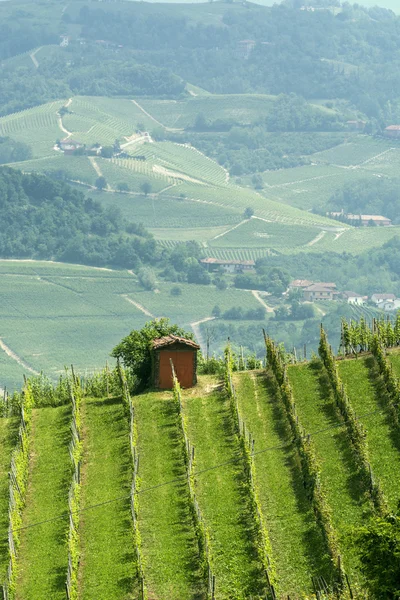 Paisagem em Langhe (Piedmont ) — Fotografia de Stock