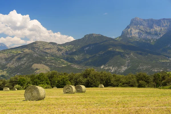 Landscape in Haute Provence — Stock Photo, Image