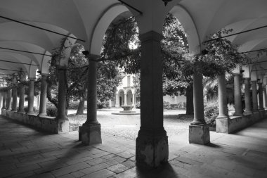 Pavia (İtalya): üniversite