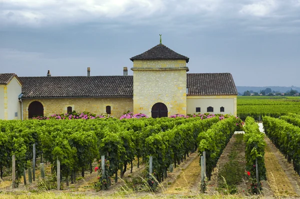 Winnica w Gironde (Bordeaux, Akwitania) — Zdjęcie stockowe