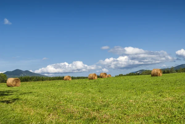 Country landscape in Midi-Pyrenees (France) — Stock Photo, Image