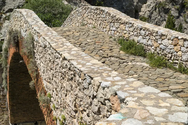 Noguera (Catalunya), historische brug — Stockfoto