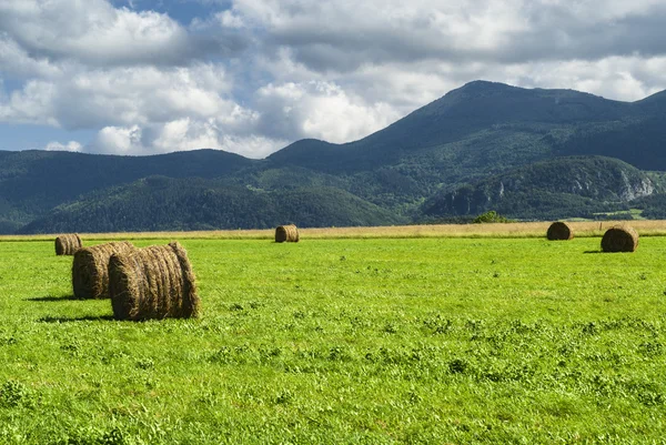 Venkovská krajina v Midi-Pyrénées (Francie) — Stock fotografie