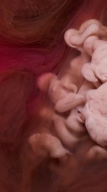 Dikey video. Dönen pigment. Sis dokusu. Soyut arkaplana yayılan akrilik su kimyasal damlasında çözünmüş pembe bronz mürekkep rengi..