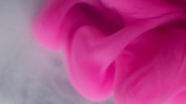 Su altı mürekkebi. Boyayla boyanmış. Beyaz pembe sıvı boya akışı. Sanat dumanı dalgası soyut bulanık siyah arkaplan karıştırma pigmenti.