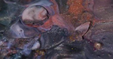 Boya sıçraması. Akrilik sim kabarcıkları. Odaklanmamış turuncu mor renk yağ akışı soyut sanat arka planında yüzen yuvarlak su dokusu.