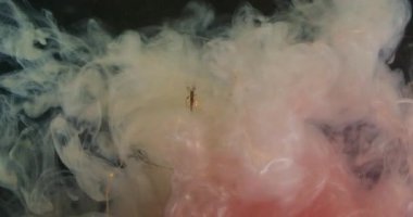 Buhar akışı. Odaklanmış çelenk aydınlatması. Kırmızı beyaz duman boyası karışımı renk akışı. Işıldayan sıvı sıçrama lambası soyut siyah arkaplan.