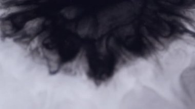 Boya lekesi. Pigment dökülmüş. Mor suluboya beyaz sıvıyla karışık daire boyası. Soyut grunge emülsiyon kirli arka planı erit.