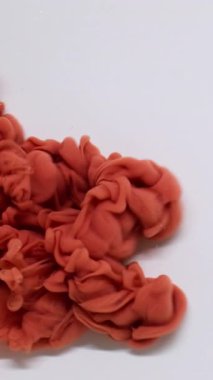 Dikey video. Dönen sis. Akış yayılıyor. Odaklanmamış turuncu bronz boya soyut beyaz arka planda su buharı sıvısında kıvrılır..