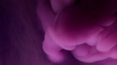 Yüzen su sıçraması. Suyu boya. Odaklanmamış mor renkli kıvrımlı sıvı duman bulutu soyut koyu siyah arkaplanda akıyor..