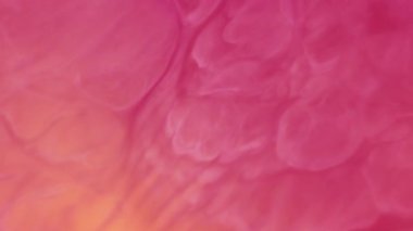 Harman emülsiyonu. Karışık su sıçratma. Odaklanmamış pembe kırmızı su mürekkebi sıvı boya damlası modern soyut ıslak yaratıcı arka plana damlıyor..