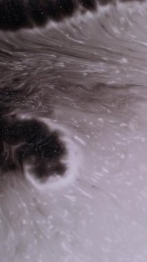 Dikey video. Sanat serpintisi. Mürekkep döküldü. Işıldayan siyah boya ıslak bulanık beyaz boyaya damlıyor. Gri sıvı patlaması soyut arkaplan yayıyor.