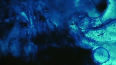 Emülsiyon yağı. Dalgalı mürekkep dokusu. Odaklanmamış mavi neon rengi esansı soyut ışık arka planına koyu siyah akışkan damlacıklar dökün.