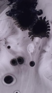 Dikey video. Grunge damlası. Islak kağıt mürekkebi. Siyah pigment sıvısı beyaz akrilik arkaplanı düşürür. Gri kirli sıçrama lekesi soyut bulanık doku.