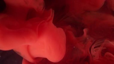Buhar sıçraması. Dönen duman. Odaklanmamış kırmızı renk akrilik boya su ruhani duman dokusu soyut koyu siyah sanat arka planında yüzüyor..