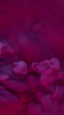 Dikey video. Neon dumanı. Sis mürekkebi kıvrılıyor. Parlak renk sprey akışı pigmentleri karıştırıyor. Mor pembe sıçrama Soyut arkaplan çemberi çözüldü.