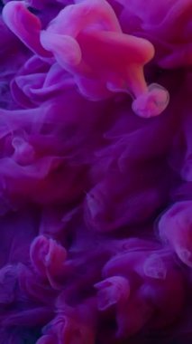 Dikey video. Bulut sıçraması. Buharı boya. Mor pembe dumanlı patlama sıvıyla karıştırılmış. Siyah soyut çözünmüş arkaplanda sualtı kimyasalı.