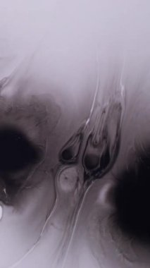 Dikey video. Kağıt sıvısı sıçraması. Islak leke. Beyaz akrilik akıntıya siyah leke düşer. Gri akışı harmanlayan soyut bulanık arkaplan.