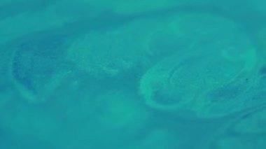 Enamel damlası. Soyut boya. Odaklanmamış mavi cyan renk dalgalanması deseni akış akışı su emülsiyon sıvısı sanat arka planında akıyor.