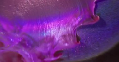 Sızdıran sim. Odaklanmamış sanat sıçraması. Işıldayan pembe mor akış topu. Soyut arkaplan gökkuşağı parlamasında renkli boya çözünüyor.