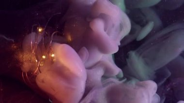 Boya aydınlatma akışı. Odaklanmamış duman dalgası. Mor yeşil sis karışımı mürekkep gri sıvıda. Işıldayan renk soyut koyu arkaplanda parlak bir çelenk.