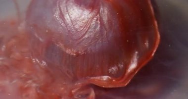 Sızdıran sim. Odaklanmamış sanat sıçraması. Işıldayan mürekkep, turuncu, beyaz, cam top. Suyun soyut arkaplanındaki parlak boya çözünüyor.