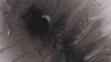 Paint splatter. Acrylic texture. Defocused black white color round pigment chemical water spilling on abstract creative background.