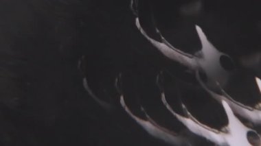 Boya karışımı. Dökülün. Odaksız siyah beyaz kimyasal damlacıklar sıvı sıvı pigmentleri soyut yaratıcı arka planda yayılıyor.