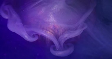 Boya yayılmış. Odaklanmamış döküm. Işıldayan mor menekşe akrilik boya sanat küresinin üzerine dökülüyor. Renk sıvısı harmanlama akışı soyut arkaplan.