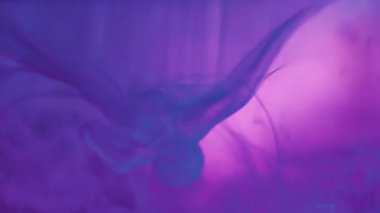 Mürekkep dumanı. Neon su sıçraması. Soyut akrilik ışık yaratıcı arka planda mavi mor renkli sıvı cam dokusu dökülmesi.