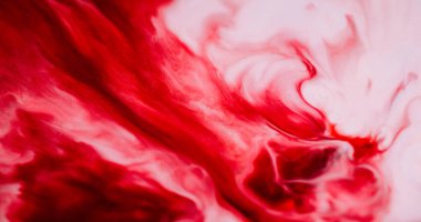 Boya döküldü. Mürekkep yayıldı. Akrilik dokuda parlak renkli soyut kıvrım akışı. Beyaz arkaplanda kırmızı mermer dalga akışı.