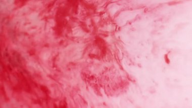 Boya sıçraması. Kimya akışı. Soyut sanat akrilik yaratıcı arka planına odaklanmış kırmızı beyaz renkli su sıvısı mermer sıvı mürekkebi dökülmüş..