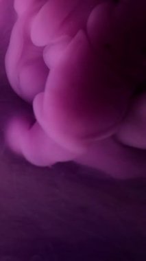 Dikey video. Dalga parçacıkları. Suyu boya. Odaklanmamış mor renkli kıvrımlı sıvı duman bulutu soyut koyu siyah arkaplanda akıyor..