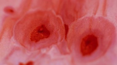 Lekeli sanat. Mürekkep arkaplanı. Islak yaratıcı soyutlamanın üzerinde yüzen pembeleşmiş kırmızı renk su kimyasal emülsiyon akrilik pigment sıvısı.