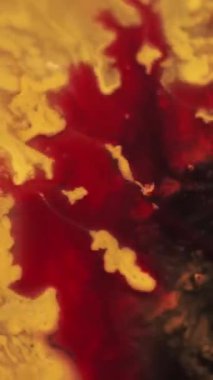 Dikey video. Karışım akışı. Renkli su. Soyut sanat eserine yayılan kırmızı kırmızı kırmızı sıvı boya emülsiyonu koyu siyah arkaplana yayılıyor..