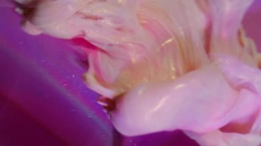 Işıldayan damlalar. Bulanık sıvı karışımı. Sanat küpüne neon sıvısı dökülmüş. Pembe mor beyaz pigment su altında soyut arkaplanı çözüyor.