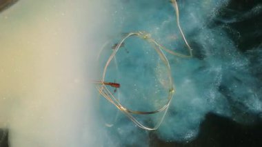 Buhar karışımı çözüldü. Kırık ampul. Fişek çelengine renk dumanı dökülmüş. Işıltılı koyu arkaplanda mavi beyaz duman boyası kıvrılır..