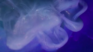 Buhar boyası. Odaklanmamış girdap. Mor mavi, parlayan dumanlı boya kürenin üzerine dökülüyor. Sanat rengi karışımı sıçrama parçacıkları soyut arkaplan.