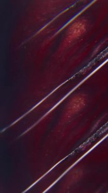 Dikey video. Açı deseni. Parlak sıvı dökülmesi. Odaklanmamış kırmızı mor renkli parlak mürekkep parçacıkları soyut neon ışık sanatının arka planına sıçrar.