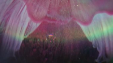 Yüzen boya. Odaklanmamış sanat sıçraması. Işıldayan pembe akış topu. Soyut arkaplan gökkuşağı parlamasında renkli boya çözünüyor.