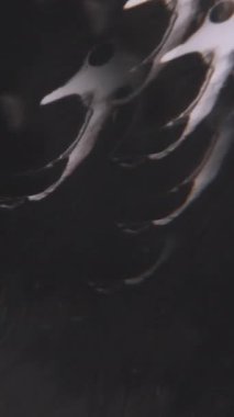 Dikey video. Mürekkep karışımı. Dökülün. Odaklanamayan siyah beyaz kimyasal damlalar soyut yaratıcı arka planda sıvı damlacıklar.