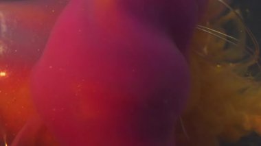 Bulanık parıltı akışı. Ampul gecesi. Işıldayan sarı pembe leke boyası. Çelenk siyah soyut arkaplan üzerinde renk parçacıkları girdap.