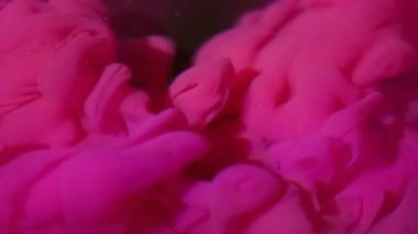 Buhar sıçraması. Bulanık duman. Siyah arka planda pembe bir sis perdesi var. Suyun altındaki parlak renk pigmentleri soyut sızıntıları harmanlıyor.