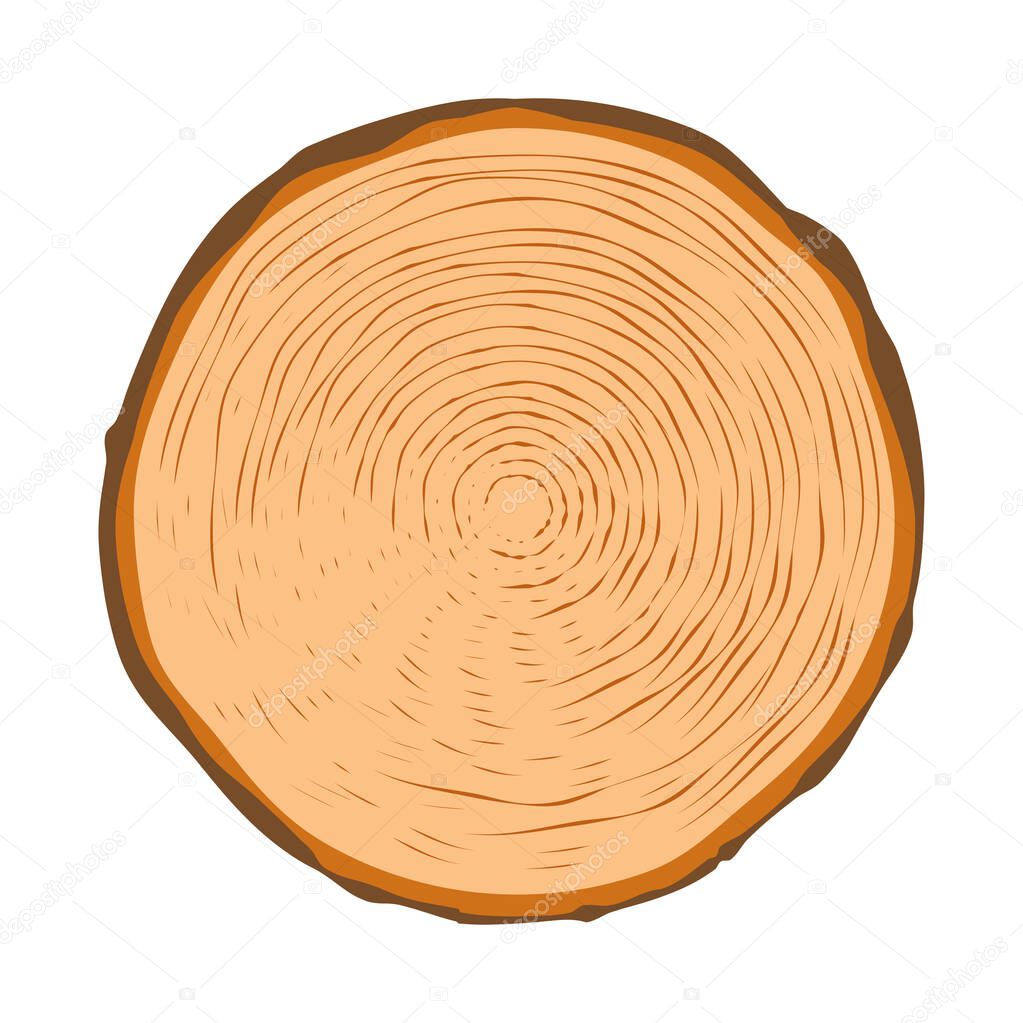 Cut tree rings clipart. Flat vector illustration.