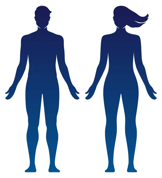 Erkek ve kadın vücut silueti çizimi. — Stok Vektör