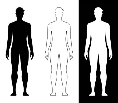 Arka planda izole edilmiş erkek vücudu şekli.