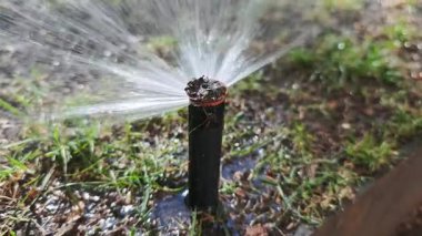 Otomatik fıskiye sisteminin yemyeşil çimenleri sularken yakın plan görüntüsü. Fıskiye başlığı yerden çıkar ve suyu dairesel bir şekilde dağıtarak bahçeyi sulandırır.