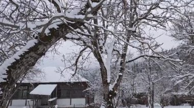Sakin bir kış sahnesinde şiddetli kar yağıyor. Kır evi ve taze karla kaplı ağaçlarla dolu huzurlu bir kırsal alan.