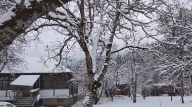 Şiddetli kar yağışı ile çevrili tuhaf ahşap bir kulübesi olan sakin kış manzarası. Görkemli, çorak bir ağaç ön planda duruyor, dalları el değmemiş beyaz karla kaplanmış.